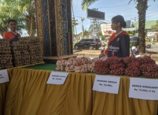 Harga Komoditas Terjadi Kenaikan